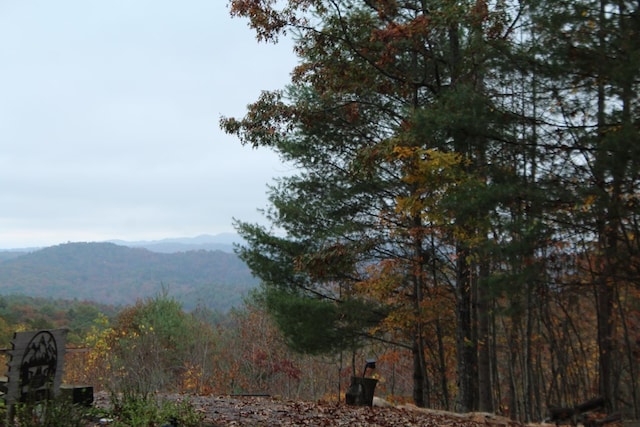 601 Sierra Cir, Murphy, NC 28906 - view of mountain backdrop featuring a heavily wooded area
