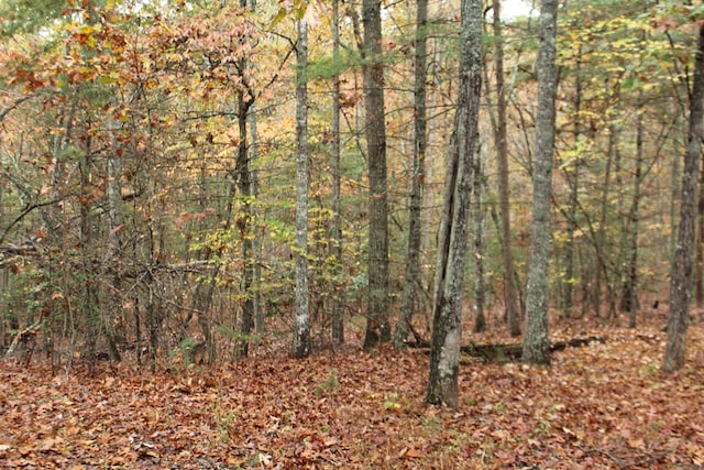601 Sierra Cir, Murphy, NC 28906 - view of woods