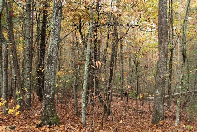 view of landscape