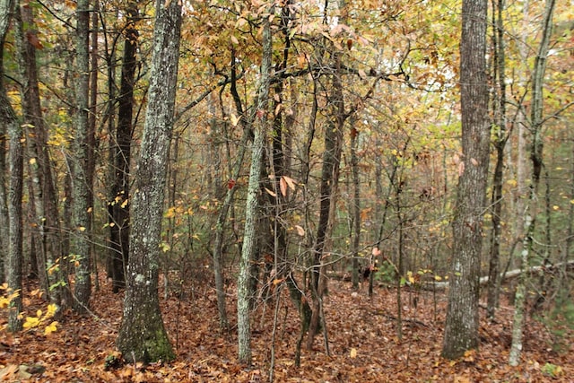 601 Sierra Cir, Murphy, NC 28906 - view of wooded area