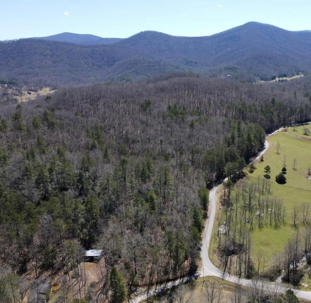 38.59ACR Mount Pleasant Church Rd, Blairsville GA, 30512 land for sale