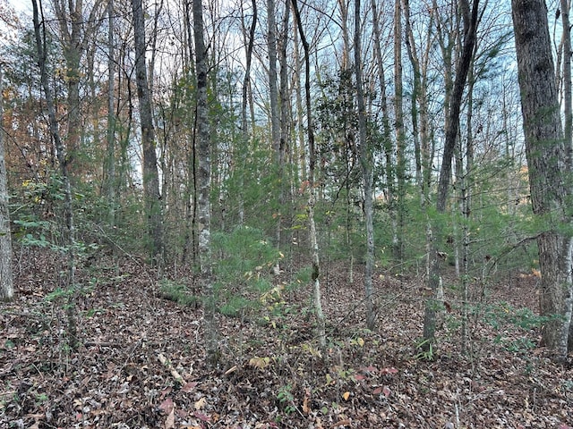 Listing photo 2 for LOT12 Tombstone Dr, Blairsville GA 30512