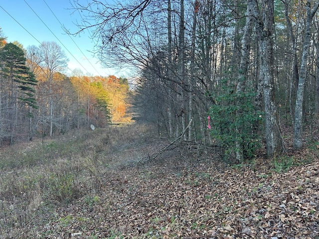 Listing photo 3 for LOT12 Tombstone Dr, Blairsville GA 30512