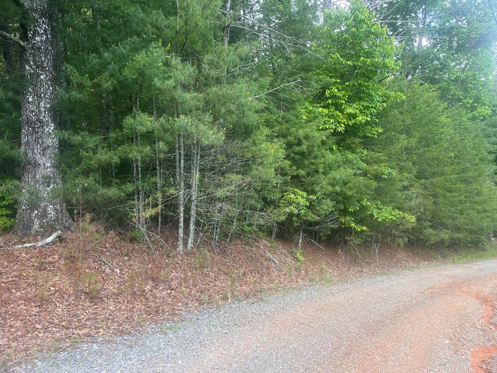 LOT100 Ashe Ct, Ellijay, GA 30540