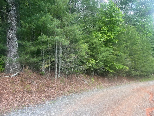 LOT100 Ashe Ct, Ellijay, GA 30540