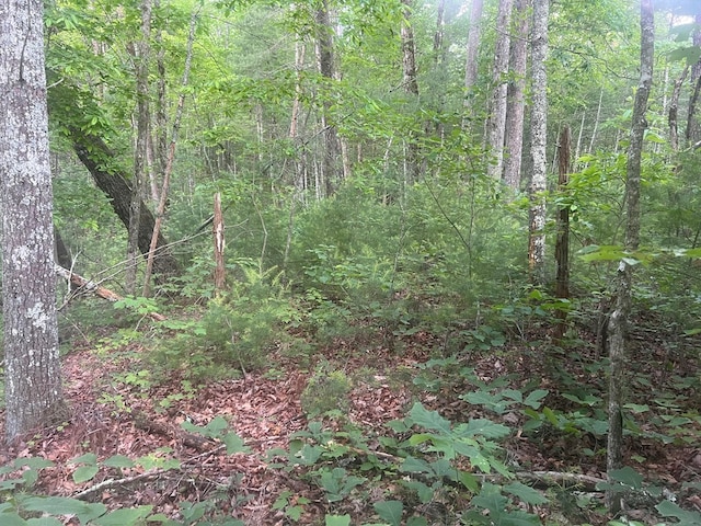 LOT100 Ashe Ct, Ellijay, GA 30540