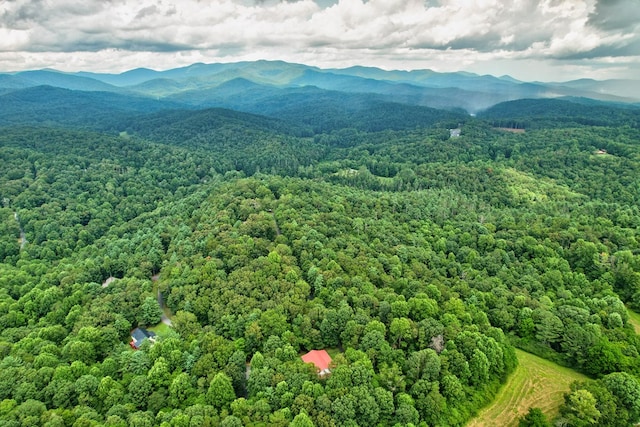 drone / aerial view featuring a mountain view and a forest view