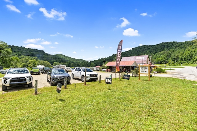 view of yard with a mountain view