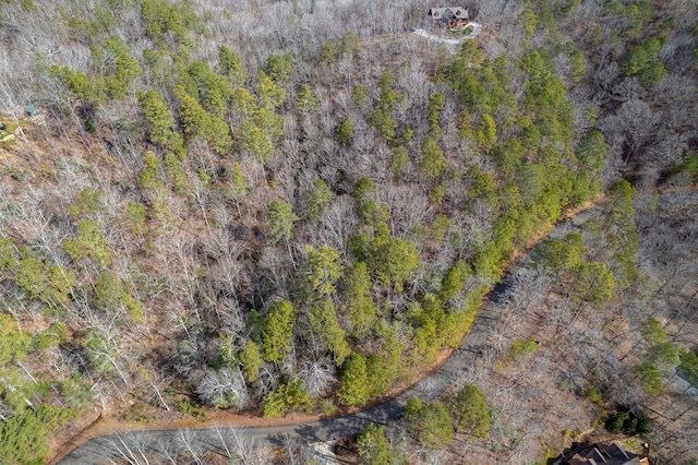 Listing photo 3 for LOT101R Mountain Creek Hollow Dr, Talking Rock GA 30175