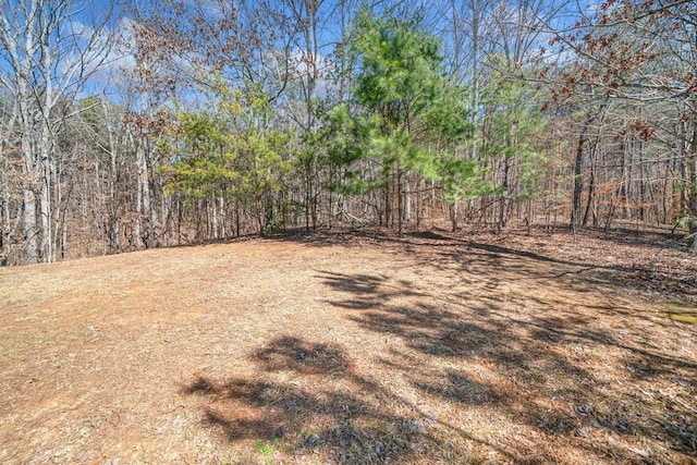 view of yard featuring a view of trees