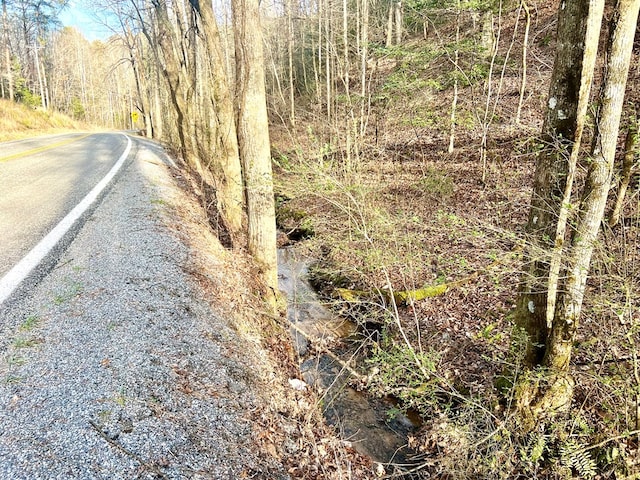 Listing photo 2 for 12ACRE Pleasant Gap Rd, Ellijay GA 30540