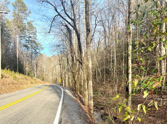 Listing photo 3 for 12ACRE Pleasant Gap Rd, Ellijay GA 30540