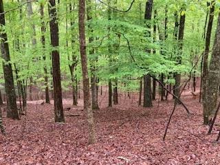 LT1871 Newport Dr, Ellijay GA, 30540 land for sale