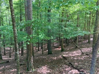 Listing photo 2 for LT1871 Newport Dr, Ellijay GA 30540