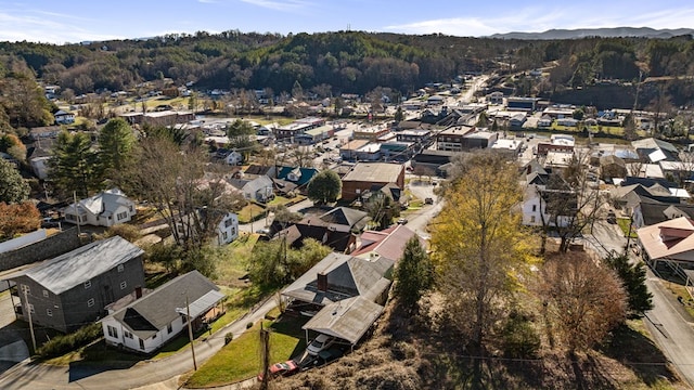 134 Church St, Copperhill, TN 37317 - aerial view