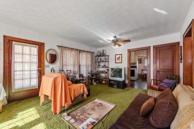 134 Church St, Copperhill, TN 37317 - living room featuring ceiling fan and a textured ceiling