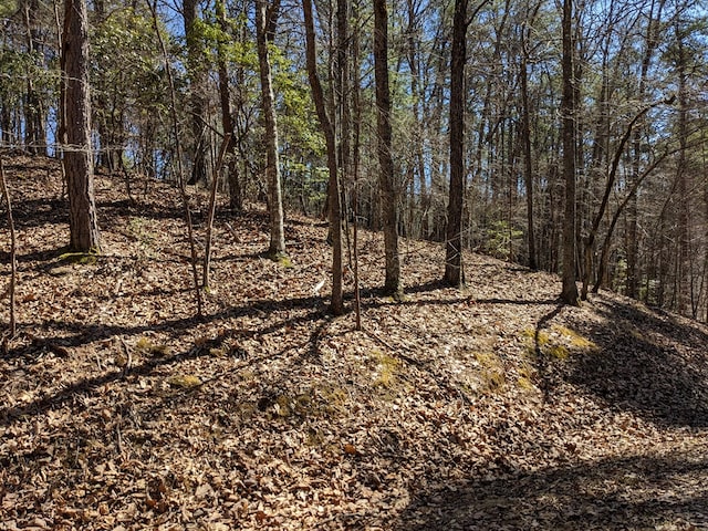 Listing photo 3 for LOT11B Snipe Hollow Ln, Warne NC 28909