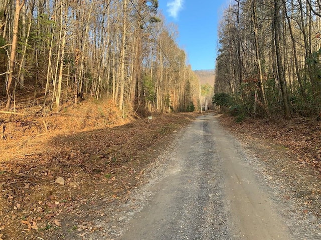 3.66 Horton Rd, Murphy NC, 28906 land for sale