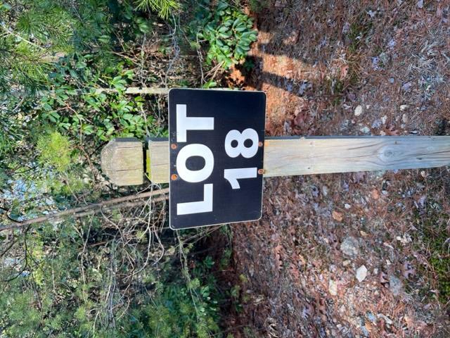 LOT18 Frances Dr, Ellijay GA, 30536 land for sale