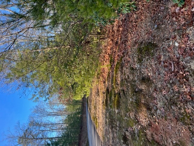 Listing photo 2 for LOT18 Frances Dr, Ellijay GA 30536