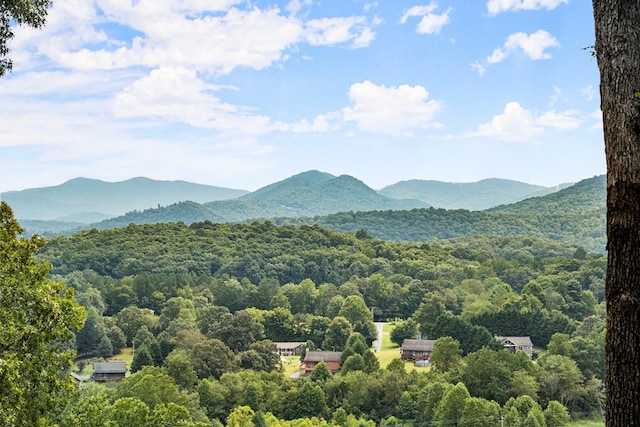 view of mountain feature