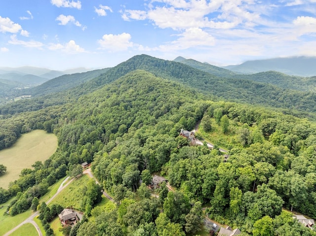 drone / aerial view with a mountain view