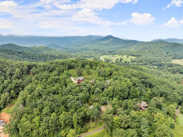 aerial view with a mountain view