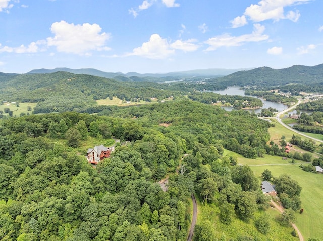 birds eye view of property with a water and mountain view