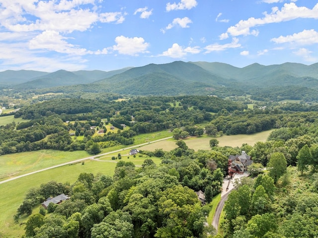 birds eye view of property with a mountain view