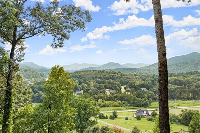 property view of mountains