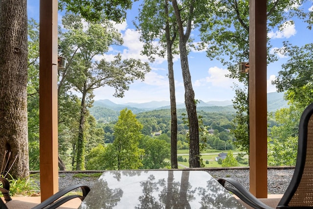 view of water feature featuring a mountain view