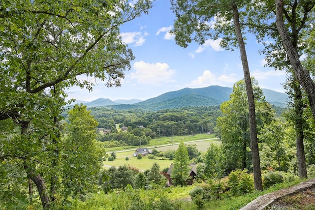 view of mountain feature