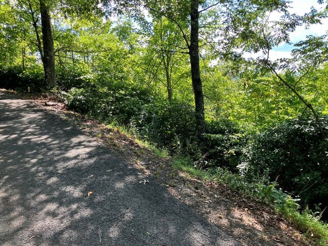 Listing photo 2 for LOT11 Brasstown Hts, Murphy NC 28906