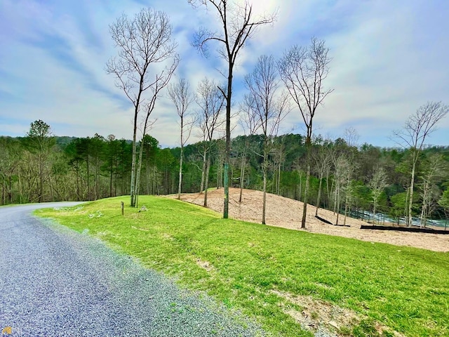 Listing photo 3 for 241 High River Xing, Ellijay GA 30540