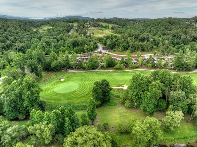 bird's eye view