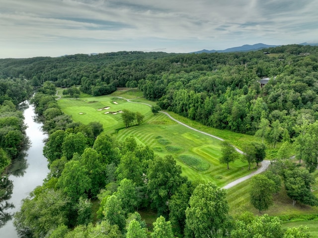 bird's eye view