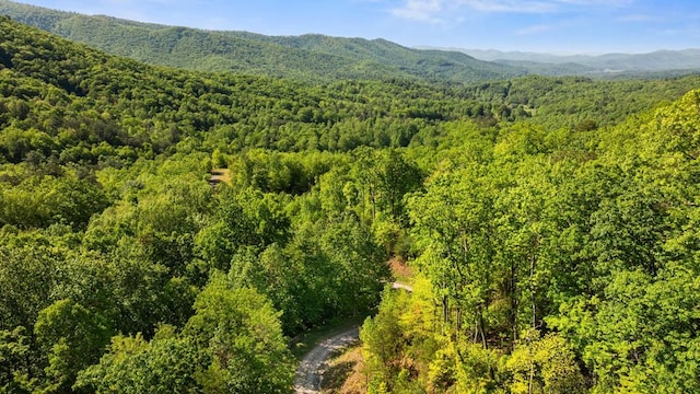 drone / aerial view of a heavily wooded area and mountains