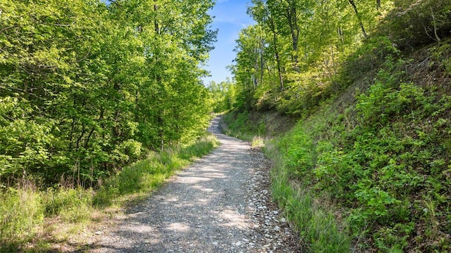 view of road featuring a wooded view