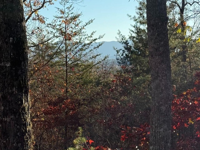 LOT26-A Licklog Rdg, Hayesville, NC 28904