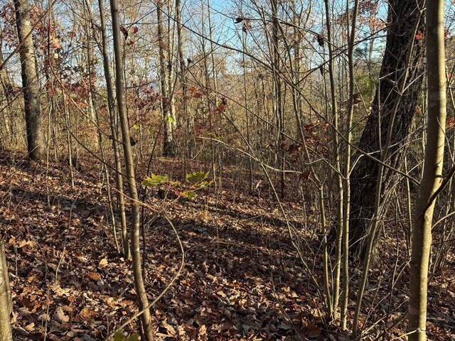 LOT26-A Licklog Rdg, Hayesville, NC 28904
