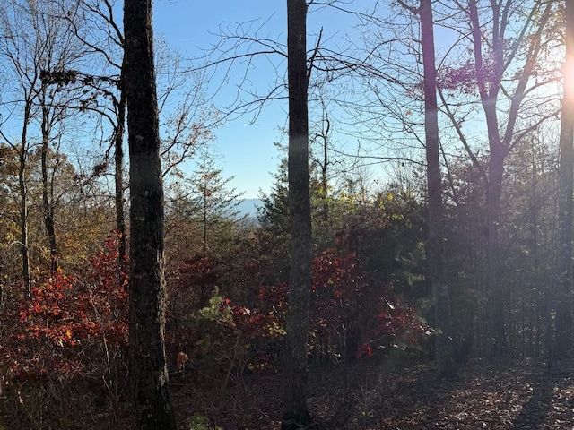 Listing photo 2 for LOT26-A Licklog Rdg, Hayesville NC 28904