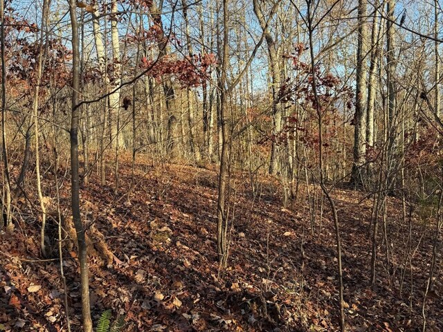 LOT26-A Licklog Rdg, Hayesville, NC 28904