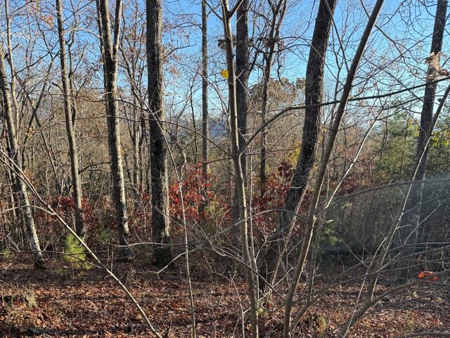LOT26-A Licklog Rdg, Hayesville, NC 28904