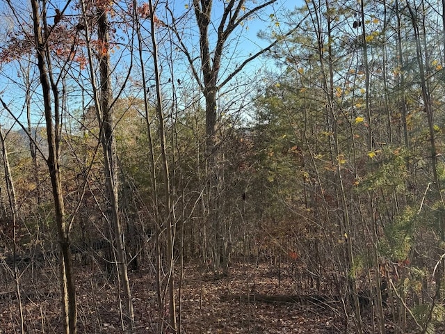 LOT26-A Licklog Rdg, Hayesville, NC 28904