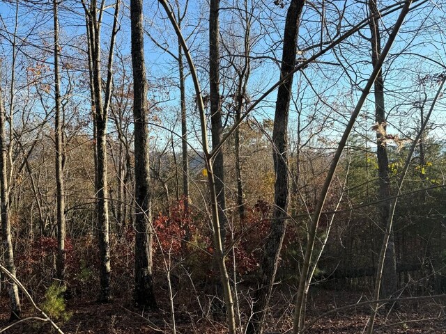 LOT26-A Licklog Rdg, Hayesville, NC 28904
