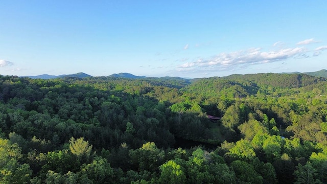 property view of mountains featuring a view of trees