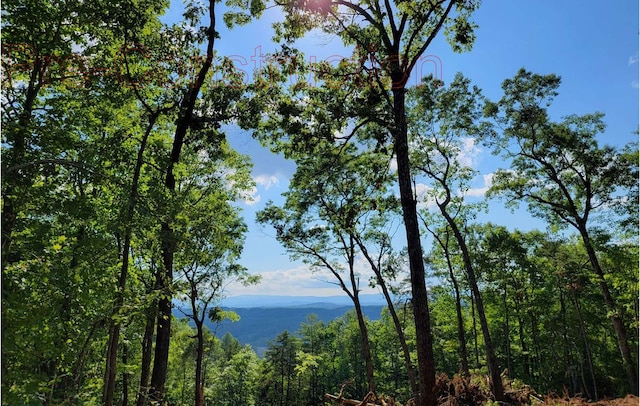 property view of water featuring a view of trees