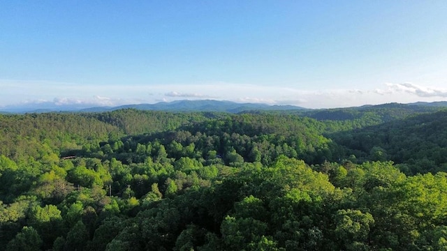 view of mountain feature with a wooded view