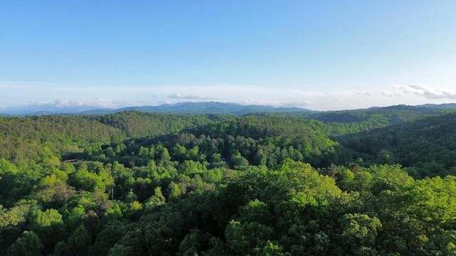 view of mountain feature with a forest view