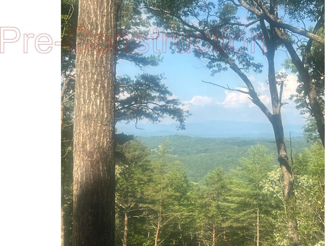property view of mountains featuring a forest view